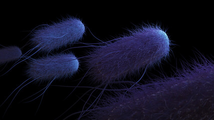 Bacteria in black background. 3d rendering medical illustration. Image shows coliform bacteria with flagella.