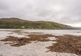 Fototapeta premium Beautiful golden sands at low tide at Calgary Beach, Isle of Mull, Scotland, UK