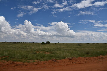 Fototapeta na wymiar Landschaft Afrika