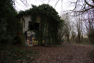 Ein Gruselschloss im Wald sorgt für Schrecken und Schauder unter den Spaziergängern