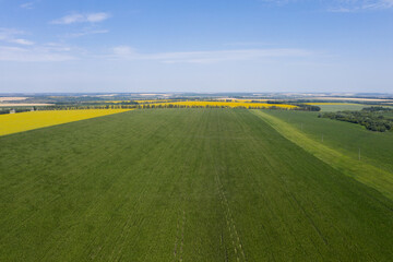 Aerial view of agricultural field	