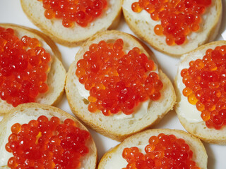 Salmon trout caviar on butter and bread