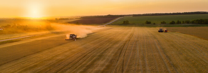 Combine harvester on the field at sunset. Aerial view	