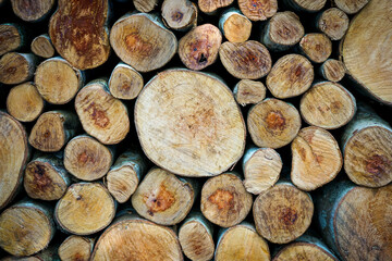 Pile of Wood stump can be use as background 