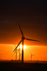 Obraz premium Deep orange sunset falls behind a field of giant wind turbines