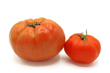 A whole pink tomato next to a salad tomato, isolated on a white background