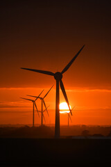 Obraz premium Deep orange sunset falls behind a field of giant wind turbines