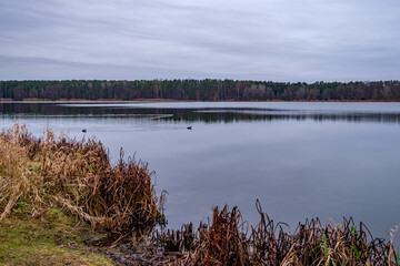 Winterlicher Spaziergang um einen See in Franken