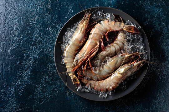  Fresh tiger prawns in a black plate with crushed ice on dark blue background.