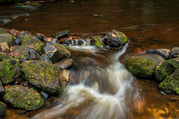waterfall in the forest