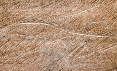 wood plank texture can be use as  background