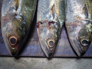 fresh fish on a wooden table