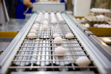 Automated sorting of raw and fresh chicken eggs in the packaging shop. Agribusiness, food production, organic agriculture, customer support and trade concept. (photo with a small depth of field)