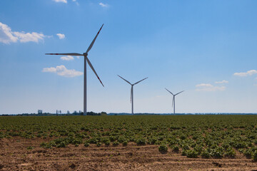 wind turbine in the field