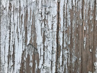 Fototapeta premium painted wooden wall. texture