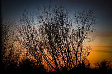 Naklejka premium sunset in the nature