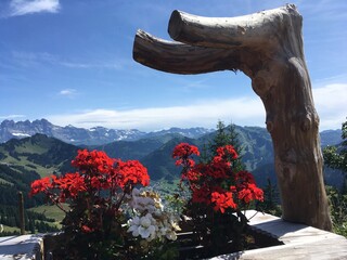 Bergpanorama mit Blumen