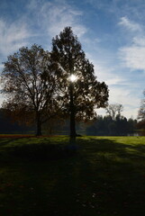 Herbst Landschaft am Fluss Böhme in Walsrode, Niedersachsen