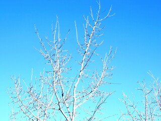 Cracks in the Sky , Autumn, 