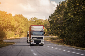 Fototapeta na wymiar Truck driving on the road through forest.