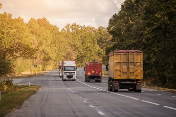 Truck driving on the road through forest.