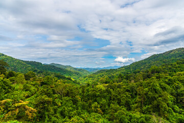 Green trees of tropical forest view from mountain peak, Aerial view of jungle, forest for...