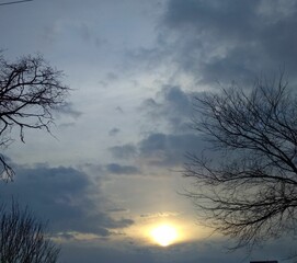 clouds and trees