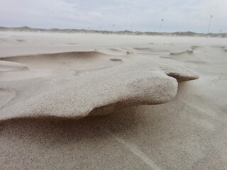beach sculpture shaped by sand and wind