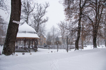 winter  in  park in December 2021, Bistrita, Romania 