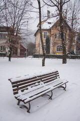 Snowy bank in the park in Bistrita, Romania, 2021 