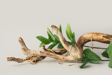Stylish golden jewelry, tree branch and leaves on light background