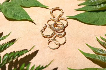 Different rings, earrings and leaves on color background