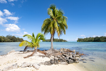 Tropical island in the South Seas, Moorea, French Polynesia