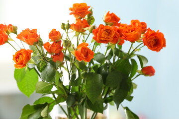 Bouquet of beautiful orange roses in room, closeup