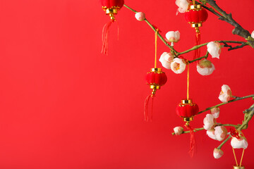 Blooming tree branch with Chinese lanterns on color background