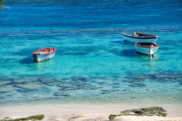 Small wooden boats on the tropical island shoreline.