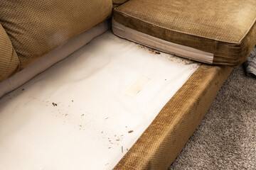 Couch with a lot of filth under the cushions.