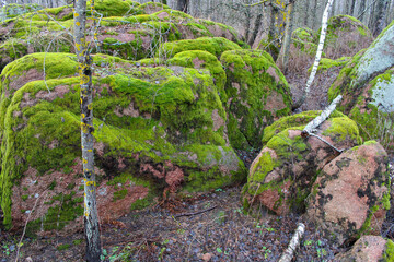 Many large stones covered with green moss