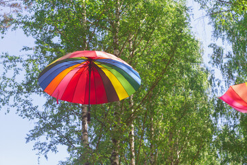 Rainbow-colored umbrellas hang on trees along the pedestrian path in the park in summer