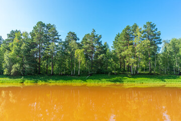 Bank of a river with muddy water