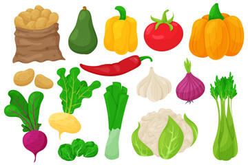 Cartoon vegetables. Vegan food, potatoes, peppers, pumpkin, celery, beets, onions, tomatoes, cauliflower, garlic. Vector vegetable set