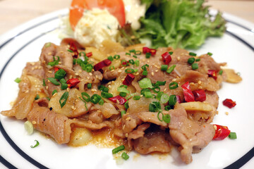 Spicy slice pork fried with white sesame, Japanese food.