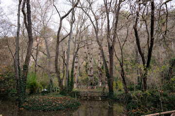 'Monasterio de Piedra' Natural Park, Zaragoza (Spain)