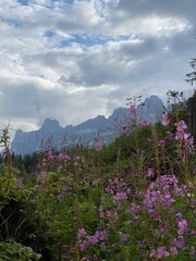 dolomites Alps travel. Smartphone photos