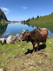 dolomites Alps travel. Smartphone photos