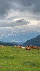 dolomites Alps travel. Smartphone photos