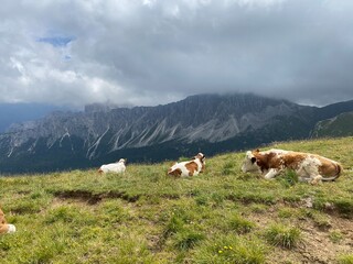 Naklejka premium dolomites Alps travel. Smartphone photos