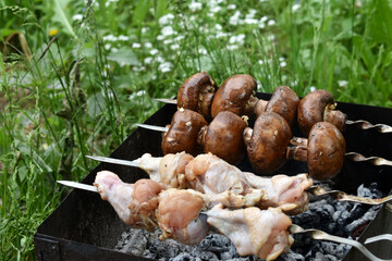 shish kebab on the grill