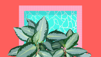 Aesthetic tropical Aglaonema (Chinese evergreen) plants and pool, simple nostalgic vintage summer vibe, pastel pink and green flat illustration