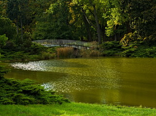 Photo of the autumn park. City park. Photo of the pond in the park, in the sunshine